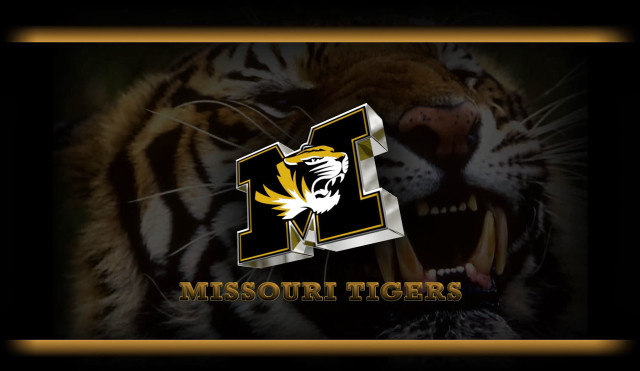 Tiger mouth open missouri tigers free wallpaper for desktop - medium preview image