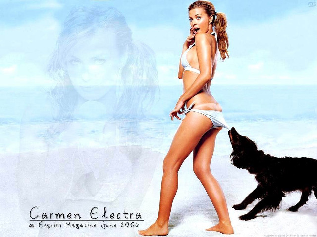 Woman bikini beach dog walking free wallpaper for desktop - medium preview image