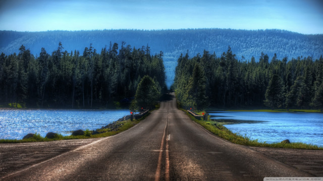Road lake trees mountain scenery free wallpaper for desktop - medium preview image