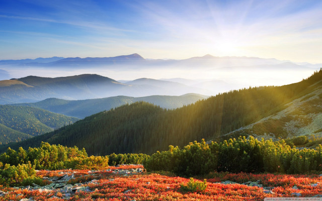Scenic mountain range sunbeam forest free wallpaper for desktop - medium preview image