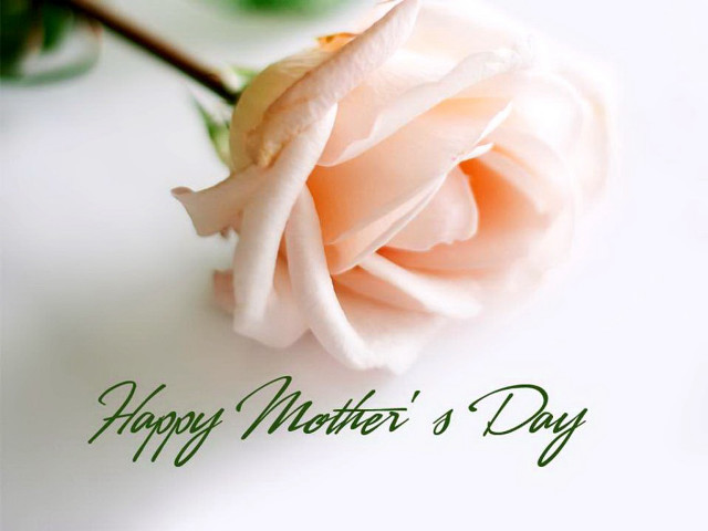 Pink rose white table mothers free wallpaper for desktop - medium preview image