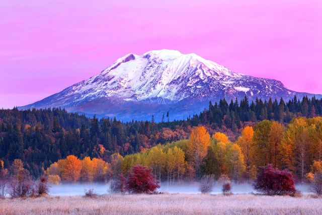 Snowy mountain autumn foliage trees free wallpaper for desktop - medium preview image