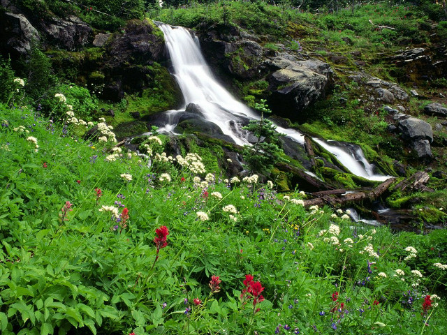 Waterfall lush forest wildflowers rocks free wallpaper for desktop - medium preview image