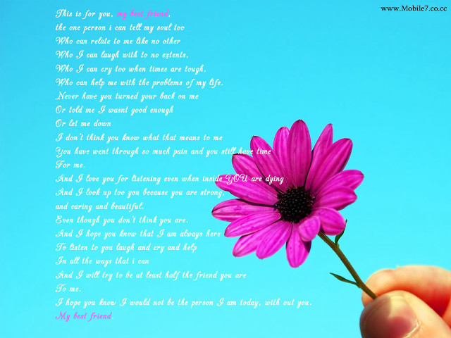 Person holding flower poem background free wallpaper for desktop - medium preview image