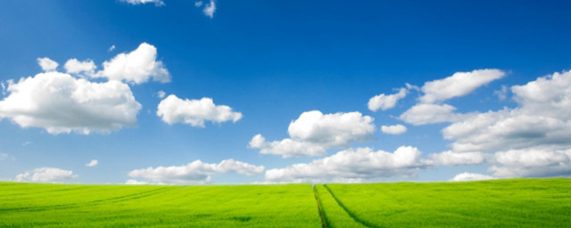 Green field sky background clouds free wallpaper for desktop - medium preview image