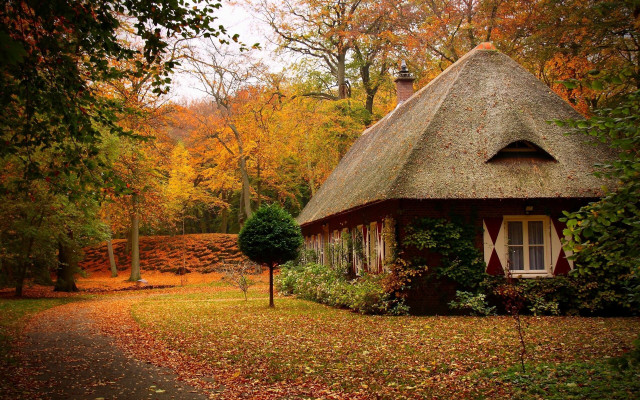 Small house thatched roof woods free wallpaper for desktop - medium preview image