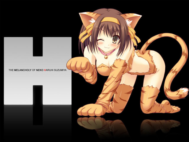 Cat hat letterh reflection anime free wallpaper for desktop - medium preview image