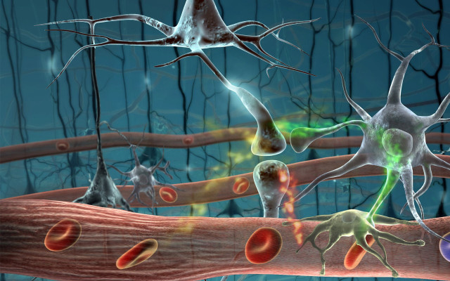 Nematic cell surroundings computer generated free wallpaper for desktop - medium preview image