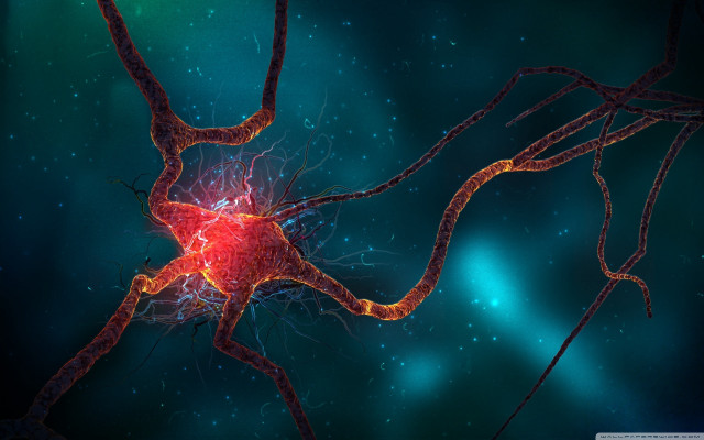 Nematic cell red light blue free wallpaper for desktop - medium preview image