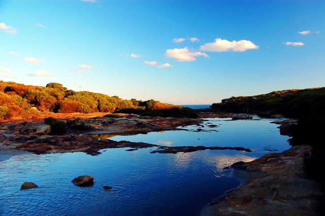 River lush green forest hillside free wallpaper for desktop - medium preview image