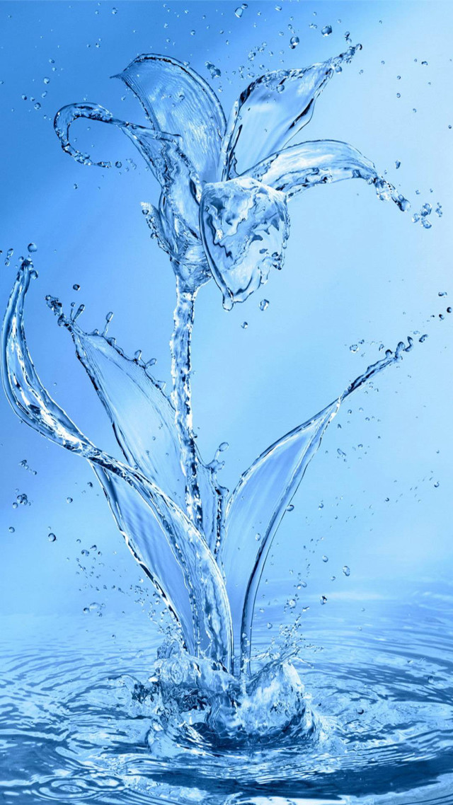 Flower splashing water blue background free wallpaper for mobile - medium preview image