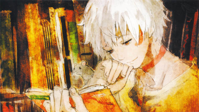 Boy reading book mouse bookshelf free wallpaper for desktop - medium preview image