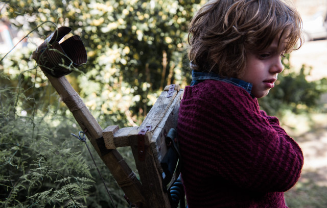 Young boy wooden suitcase forest free wallpaper for desktop - medium preview image