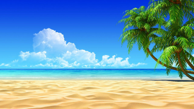 Palm tree sandy beach blue #6 free wallpaper for desktop - medium preview image