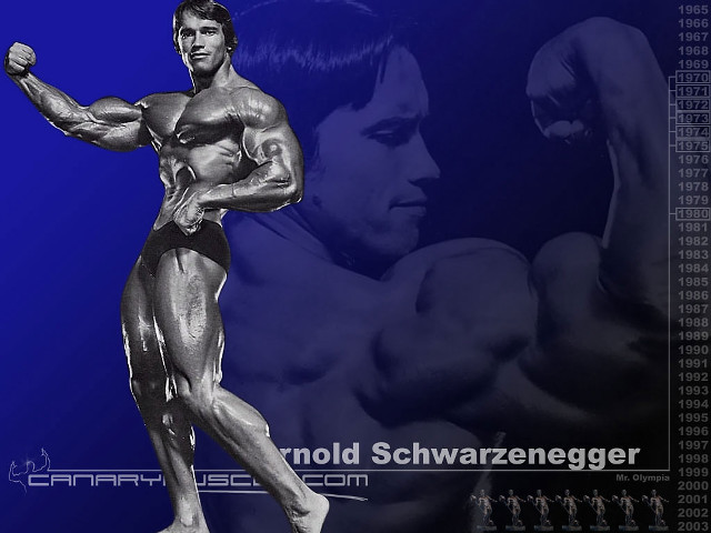 Muscular man blue background image free wallpaper for desktop - medium preview image