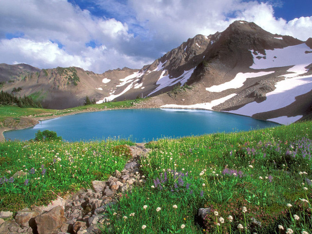 Mountain lake wildflowers rocks grass free wallpaper for desktop - medium preview image