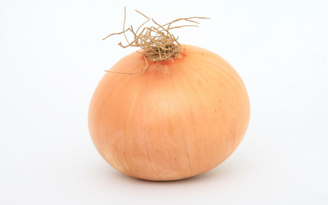 Onion white background brown stems free wallpaper for desktop - medium preview image