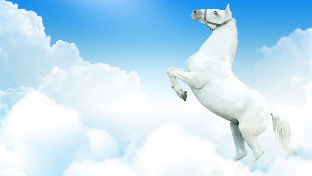 White horse clouds blue sky free wallpaper for desktop - medium preview image