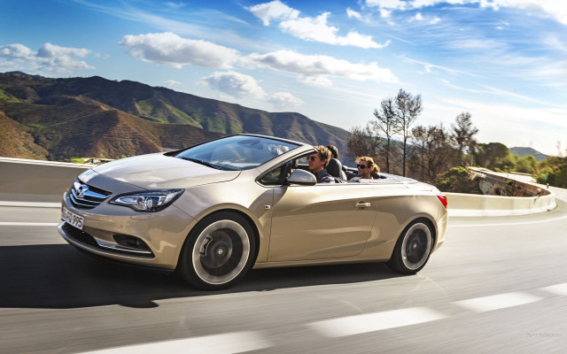 Car driving road dog man free wallpaper for desktop - medium preview image