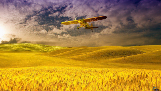 Plane flying wheat field cloudy free wallpaper for desktop - medium preview image