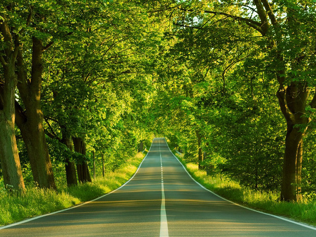 Road trees grass scenery nature #4 free wallpaper for desktop - medium preview image