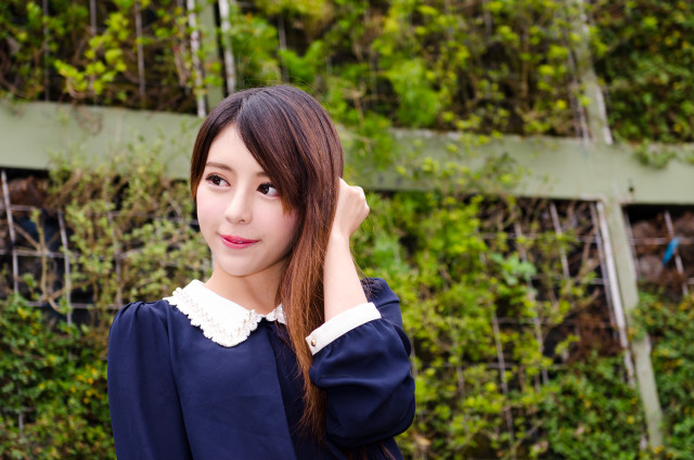 Woman fence bushes green plant free wallpaper for desktop - medium preview image