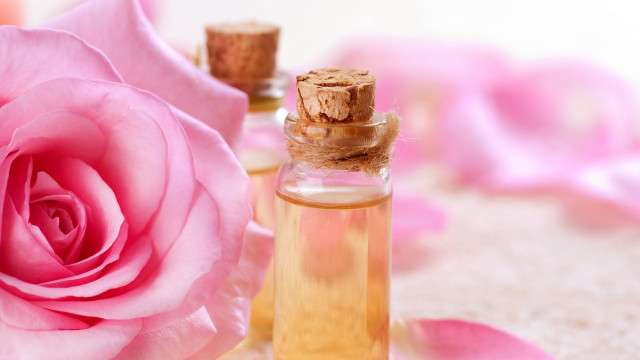 Perfume pink rose background foreground free wallpaper for desktop - medium preview image