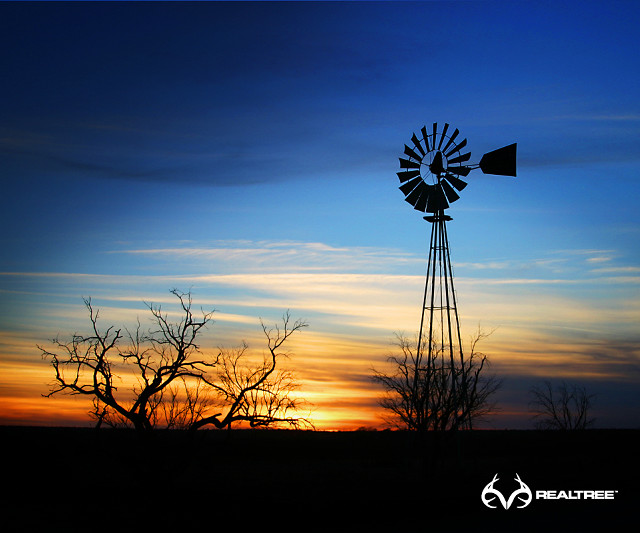 Windmill sunset tree blue sky free wallpaper for desktop - medium preview image