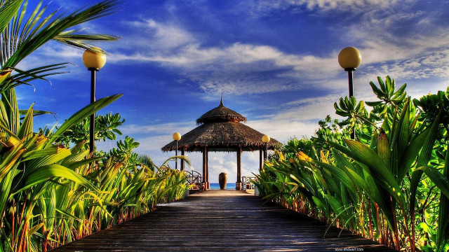 Wooden walkway gazebo tropical plants free wallpaper for desktop - medium preview image
