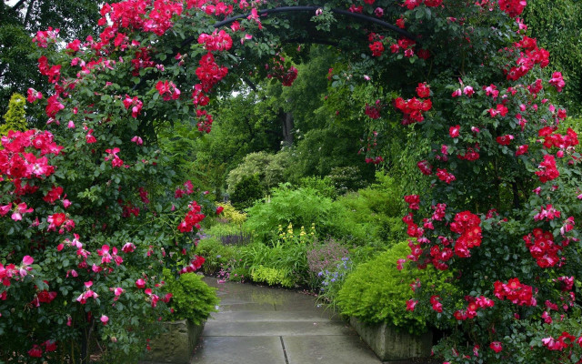 Garden path flowers bench middle free wallpaper for desktop - medium preview image