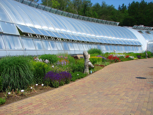 Walkway flower field mosaic building free wallpaper for desktop - medium preview image