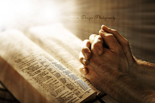 Man holding book praying sunlight free wallpaper for desktop - medium preview image