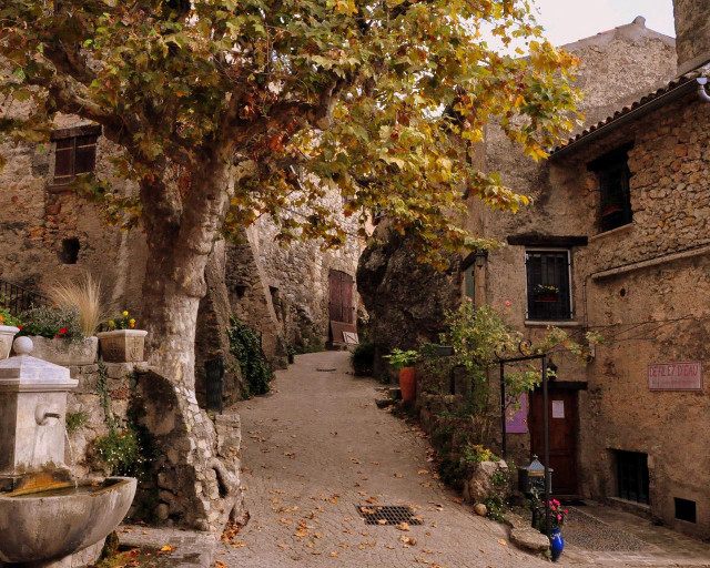 Narrow alley fountain trees background free wallpaper for desktop - medium preview image