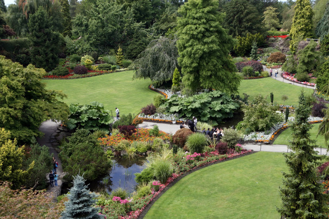 Lush green park pond trees free wallpaper for desktop - medium preview image