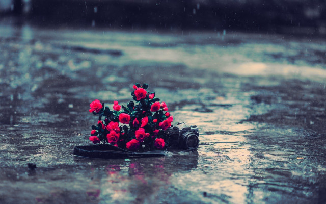 Flowers shoe rain bunch beautiful free wallpaper for desktop - medium preview image