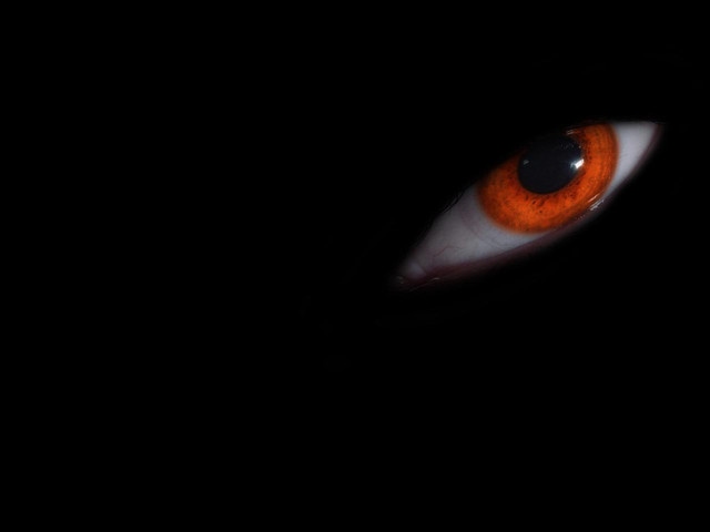 Cat eye orange white iris free wallpaper for desktop - medium preview image