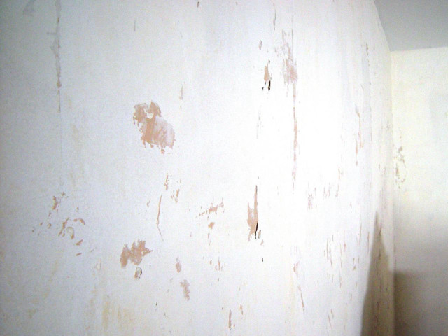 White wall peeling paint toilet free wallpaper for desktop - medium preview image