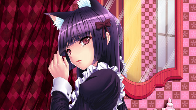 Anime girl purple hair cat #2 free wallpaper for desktop - medium preview image