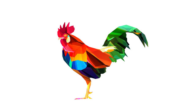 Colorful rooster white background surreal free wallpaper for desktop - medium preview image