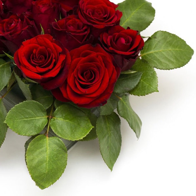 Red roses bouquet green leaves #6 free wallpaper for tablet - medium preview image