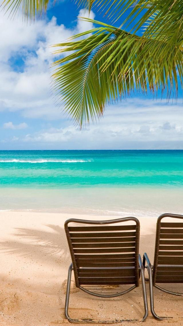 Chairs beach ocean palm tree free wallpaper for mobile - medium preview image