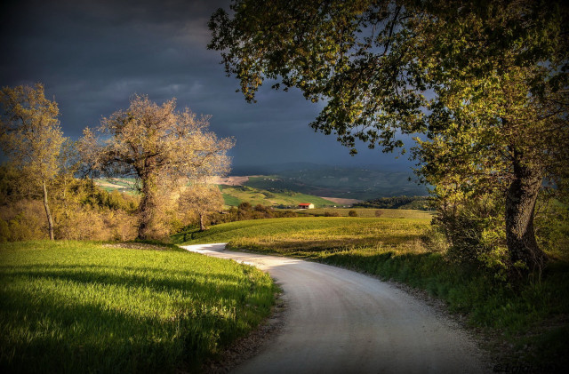 Dirt road green field trees #3 free wallpaper for desktop - medium preview image