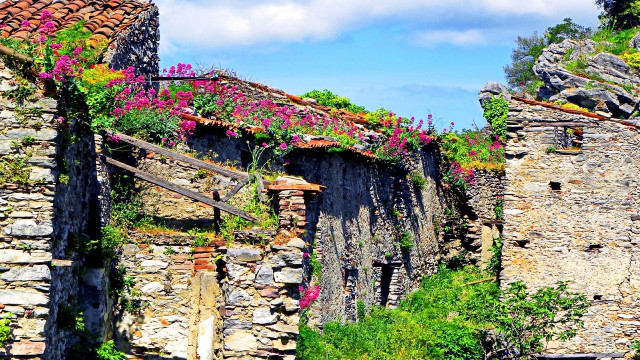 Stone building flowers wooden fence free wallpaper for desktop - medium preview image