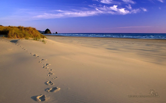 Beach footprints blue sky clouds free wallpaper for desktop - medium preview image