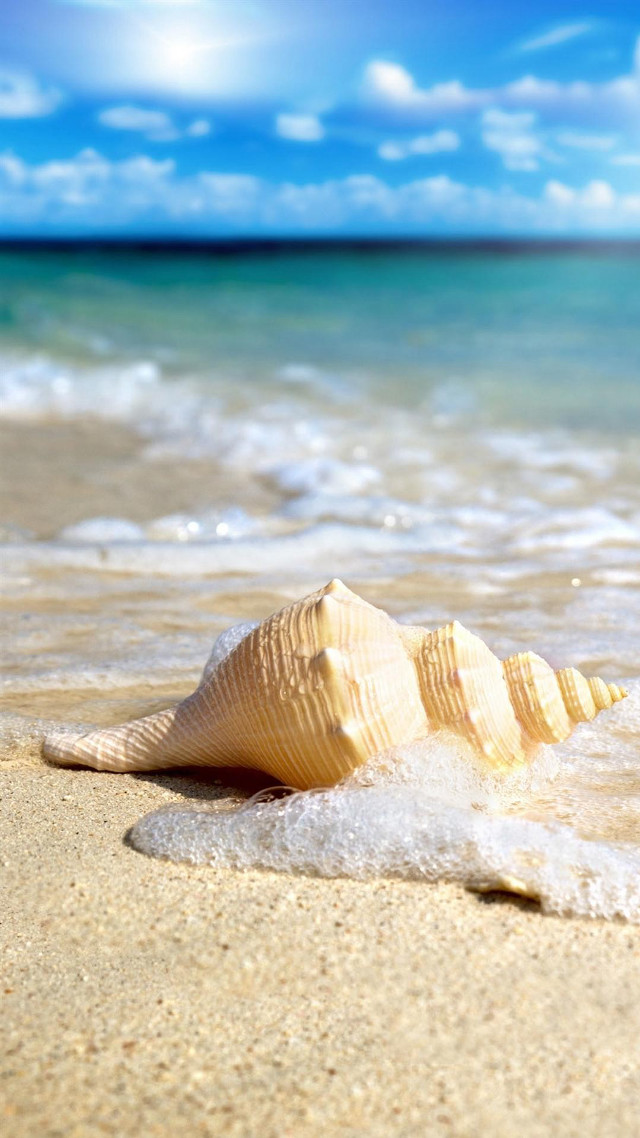 Shell beach blue sky wave free wallpaper for mobile - medium preview image