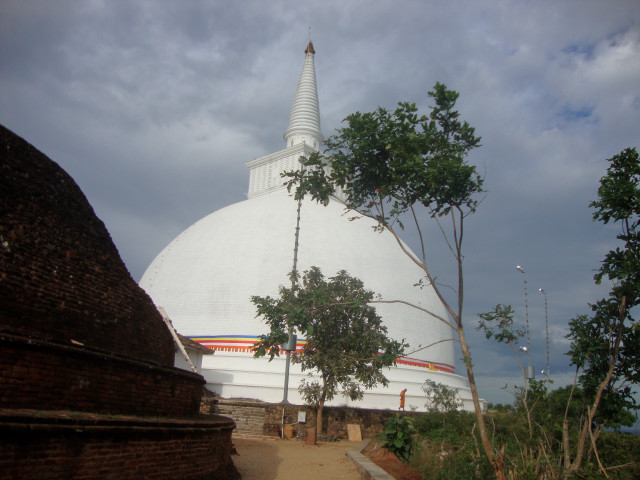 Large white building tree sky free wallpaper for desktop - medium preview image