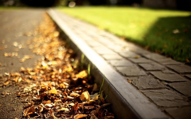 Bench road field grass leaves free wallpaper for desktop - medium preview image