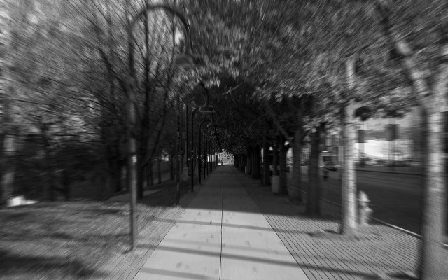 Sidewalk trees street sign black free wallpaper for desktop - medium preview image