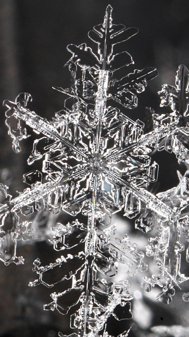 Snowflake black white background photo free wallpaper for mobile - medium preview image