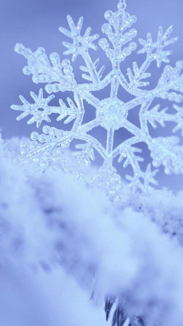 Snowflake in the middle of #2 free wallpaper for mobile - medium preview image